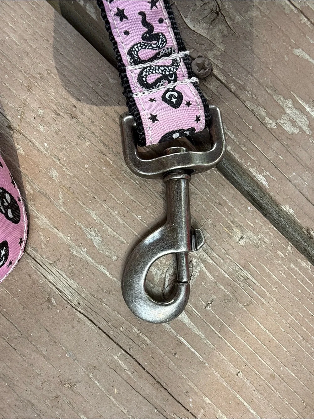 Matching Dog Collar + Leash — Handmade in CO